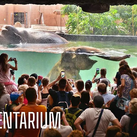 Lodz4u - Piotrkowska Z Garażem Bon Turystyczny Apartament