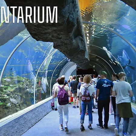 Lodz4u - Piotrkowska Z Garażem Bon Turystyczny Apartament